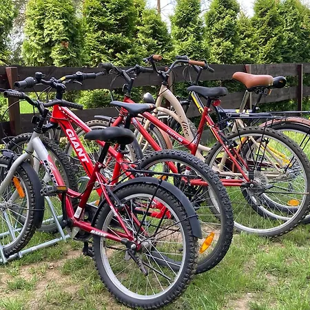 Dom wakacyjny Cisy Ii-bon Turystyczny,ogrodzony Teren Na Wyłączność,150 M Od Jeziora