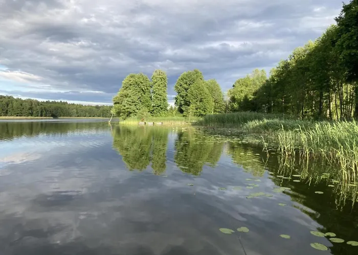 Cisy Ii-bon Turystyczny,ogrodzony Teren Na Wyłączność,150 M Od Jeziora * Makosieje