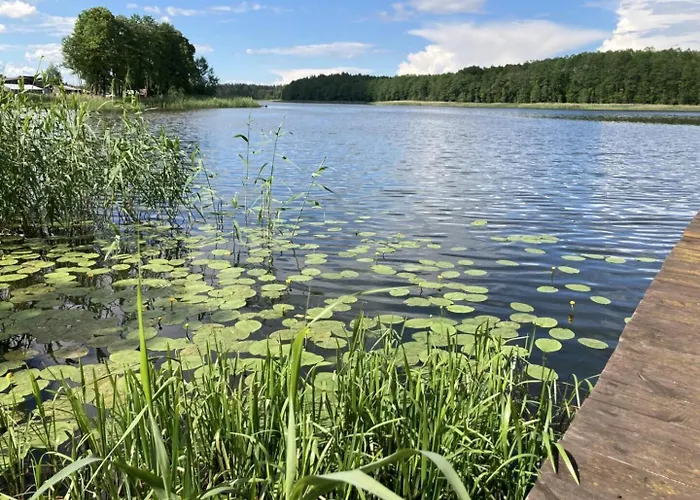Cisy Ii-bon Turystyczny,ogrodzony Teren Na Wyłączność,150 M Od Jeziora